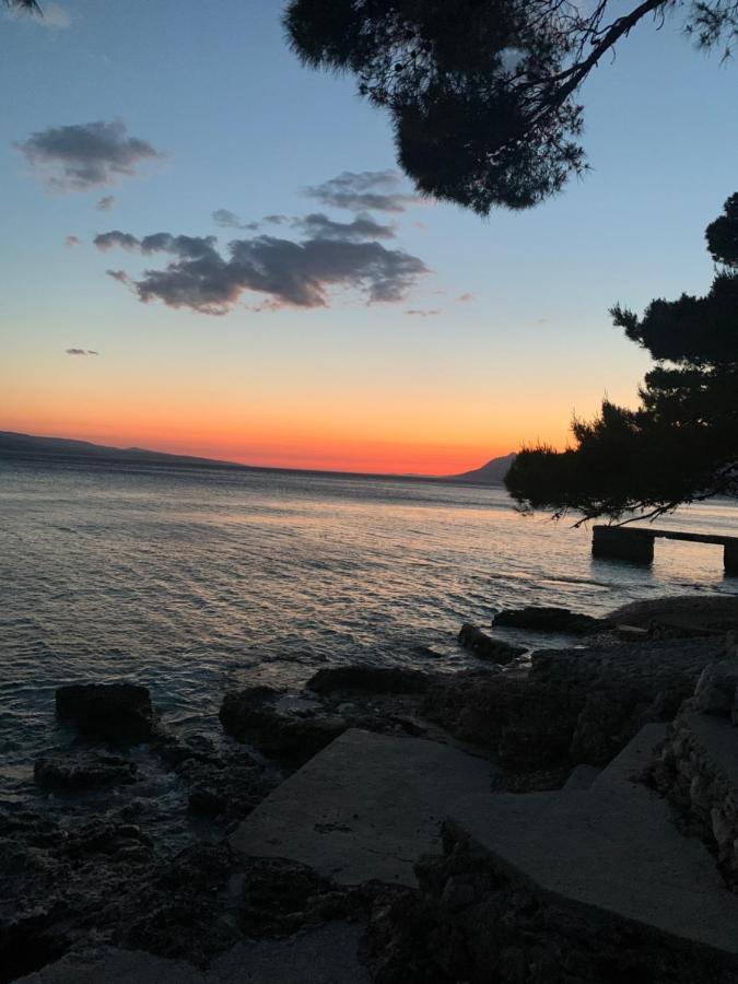 Oaza Mira Mobile Houses - Camp Basko Polje #Bestoffer Baska Voda Bagian luar foto